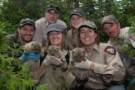 How To Become A Wildlife Biologist Wildlife Biologist Wildlife Conservation Wildlife Rehabilitation