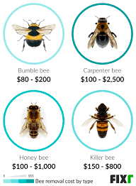 How long does a bumblebee nest last? 2021 Bee Removal Cost Bee Nest Removal Cost