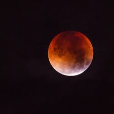 In most blood cancers, the normal blood cell development process is interrupted by uncontrolled growth of an abnormal type of blood cell. What The Full Harvest Moon In Pisces Means For Your Zodiac Sign