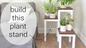 Scandinavian open concept light wood floor living room idea by inside out style sword fern, carex use plant holder stands for enhanced looks. How To Build A Tiered Plant Stand Arrow Projects