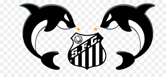 Acompanhe as notícias do santos no ge.globo, próximos jogos, resultados, contratações e muito mais. Santos Fc Ct Rei Pele Sport Club Victoria Jungen Aus Dem Dorf Der Antriebsseite Der Strand Ii Heiligen Der Letzten Tage Png Herunterladen 780 419 Kostenlos Transparent Vogel Png Herunterladen