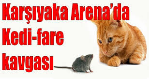 Karsiyaka Arena Da Kedi Fare Kavgasi Haberler Ing Basketbol Super Ligi