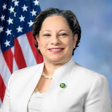 Women of the CBC Bios » Women of the CBC » Avoice Digital Library » African  American Voices in Congress