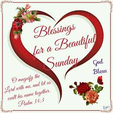 We did not find results for: Blessings For A Beautiful Sunday Happy Sunday Quotes Sunday Morning Quotes Blessed Sunday