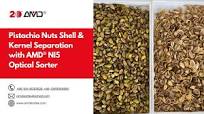 Pistachio Nuts Shell & Kernel Separation with AMD® NI5 Optical Sorter
