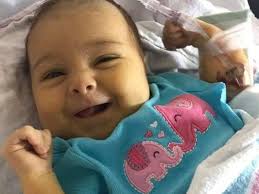 Fundraiser for Andrew Hillier by Kristen Andrews : Support Baby Loretta  Hillier