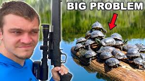 Feeding Time Peacock Eel African Clawed Frog