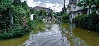 Learn more about flood insurance and how to purchase you may be surprised to learn that your property insurance doesn't cover flood damage. Flood Insurance In Texas Cost Coverage And Requirements