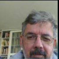 PDF) O Incorreto no Guia politicamente incorreto da história do Brasil