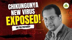 Avril Ryan's Drivetime Interview (Highlight)