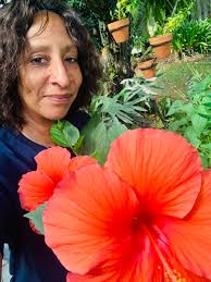 Staghorn for trade or pickup in N Miami area