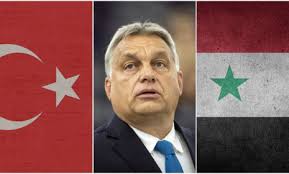 Za prisťahovalectvom sú aj medzinárodné záujmy mafie (Loretta Tóth)