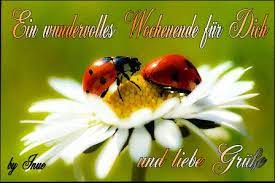 +49 (0)208 88 88 00 mobil: Whatsapp Gruesse Wochenende 2 Gb Bilder Gb Pics Gastebuchbilder Schones Wochenende Bilder Schones Wochenende Lustig Schones Wochenende