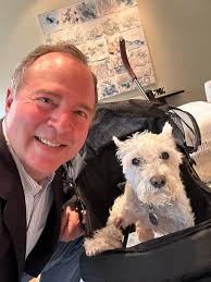 Wow...16.5 years old? I sure hope my pug lives a long life also! He can  hardly see but still is always in play mode! He will be 11