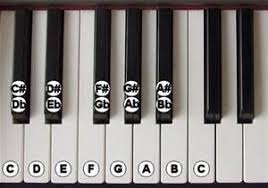Can Labeling Your Piano Keys Help You Learn Faster