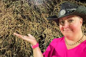 23 Things to Do in Eau Claire WI Praised by Popular Travel Bloggers