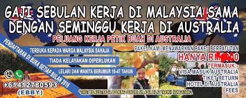 Salam Pakej Kerja Di Australia Petik Buah Dan Kilang Facebook