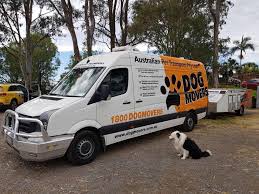 Check spelling or type a new query. Dogmovers Pet Transport Reviews Facebook