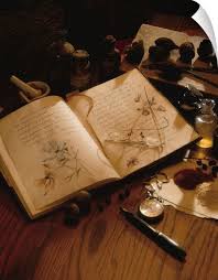 Several Small Items From A Journal With Sketches To Herbs Lay On A Wood Table Herbalism Witch Aesthetic Book Of Shadows