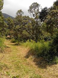 Sungai jagung, sungai layar, sungai petani. Tanah Dusun 6 Relong Di Yan Kedah Utk Broker Tanah Kedah Facebook