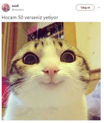 Anlamli Dusundurucu Eglenceli Guzel Komik Konusan Resimler Konusan Resimler Www Kizlarinsirlari Clu Komik Hayvan Fotograflari Hayvanlar Komik Hayvan
