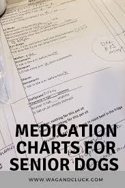 Senior Dogs Why Medication Charts Are Helpful Wag And Cluck