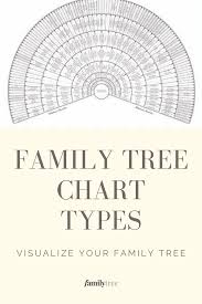 First Born Birth Order Characteristics Chart Family Tree Chart Types And Examples In 2020 Family Tree Chart Family Tree Project Free Family Tree Template