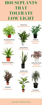 Gardenologist