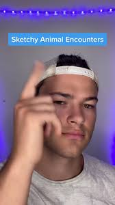 Moose Pastries Va Sterlung