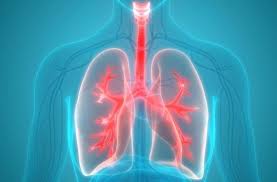 Le traitement classique du mal de dos repose sur l'utilisation de médicaments, des sessions de physiothérapie ou dans certains cas avancés ou particuliers d'une chirurgie. Cancer Du Poumon Ces Signes Qui Doivent Vous Alerter