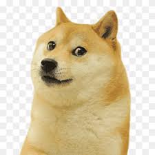 Doge Png Images Pngwing We only accept high quality images, minimum 400x400 pixels. doge png images pngwing