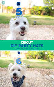 Dog Birthday Party Hats Gorro De Fiesta De Cumpleanos De Mascotas Diy Party Hats For Dogs Diy Birthday Hat For Dog Dog Party Hat