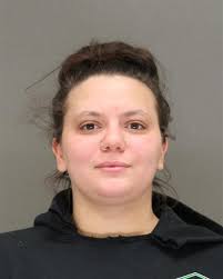 Green Bay Crime Reports: Daily Arrest Records