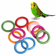 Coming up with cool ideas for homemade parrot toys is easier than it sounds, even if you don't believe you are the artsy type. Pet Supplies 10pcs Parrot Bird Toys Diy Accessory Toy Parts Cage Perch Swing Making Craft Lot Bird Supplies