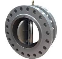 Pn 10/Pn 16/150#/300#/600 Stainless Steel Dual Plate Check Valve Flange  Type, For Industrial