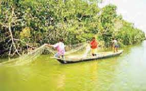 You'll find all the saltwater fishing tackle you need, whether you're surf fishing or looking for inshore, nearshore or offshore fishing gear. Http Www Fao Org 3 I1926e I1926e Pdf