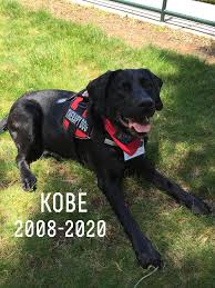 4 Paws Makes a Family LLC