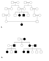 Related posts of genetics pedigree worksheet answer key. Http Images Pcmac Org Sisfiles Schools Tn Waynecounty Waynecounty Uploads Forms Pedigree 20analysis 20problems Pdf