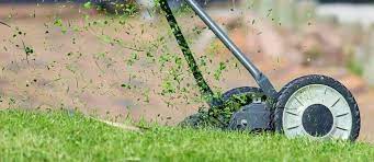 #1 lawn fertilization services in dfw. Is Lawn Care Service Worth The Money Cacti Landscapes