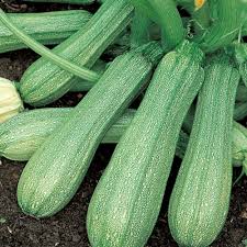C'est une bonne façon de faire manger des légumes aux enfants, mais c'est également très bon pour les grands. Choisir Ses Varietes De Courgettes Fiches Potager Bio Potager