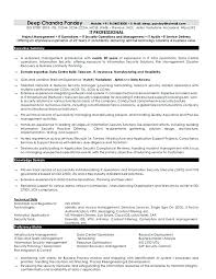 identity and access management resume