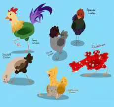 Mojang's minecraft has become more than a trend or fad, it is now an important game that is enjoyed on many levels. Lowlylynx I Decided To Draw Some Of My Favorite Chickens