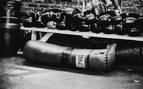 We did not find results for: Boxing Wallpapers Top Free Boxing Backgrounds Wallpaperaccess