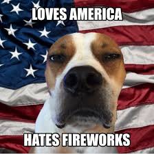 Can T We Just Celebrate With Cake Loves America Hates Fireworks Chewiesteve Adoptdontshop Chewslife Dogs And Fireworks Pitbull Dog Dog Memes