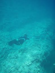 「海の底 潜り フリー素材」の画像検索結果