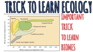 Trick To Learn Ecology Graph Of Biomes Distribution Organisms And Population