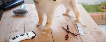 Not all grooming tables are alike. 9 Diy Dog Grooming Table Ideas