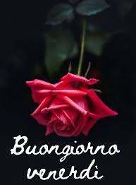 Buongiorno Venerdi Immagini Nuove Buongiorno Venerdi Buongiorno Venerdi