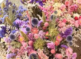 Buy artificial flowers bulk and get the best deals at the lowest prices on ebay! Wide Range Of Dried Flowers For Resellers Buy Your Dried Flowers For Your Customers Here Wholesale Dried Flowers Home Decoration House Plants Garden Plants And Fresh Flowers