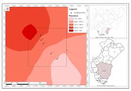 Image result for Trichomanes crispiforme